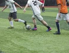 双色球神预,期凤尾绝杀,秘籍,广东体彩开奖,广东体彩开奖信息,广东体彩数据,广东体彩社区,广东体彩官网,广东体彩预测,广东体彩体验,广东体彩结果,广东体彩互动