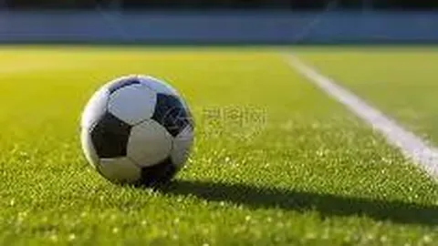 揭秘福彩3D组选奇号559中奖奥秘！探秘2026022期前后走势揭秘！