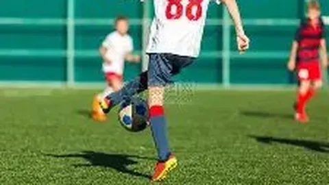 【彩运少年行】狗年双色球26010期精准12红2蓝推荐，彩界高手揭秘玩彩技巧！