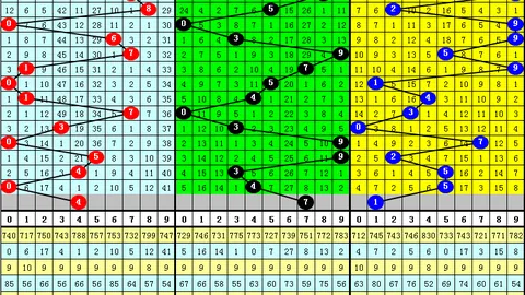 广东体彩网