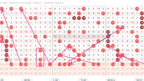 广东体彩网