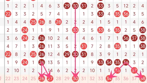 广东体彩网